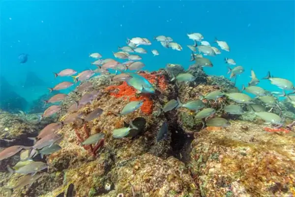 Islamorada to Marathon