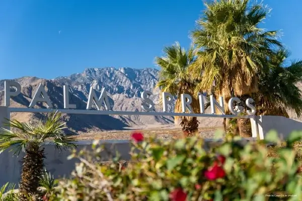 palm Spring