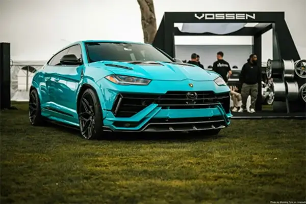 vossen
