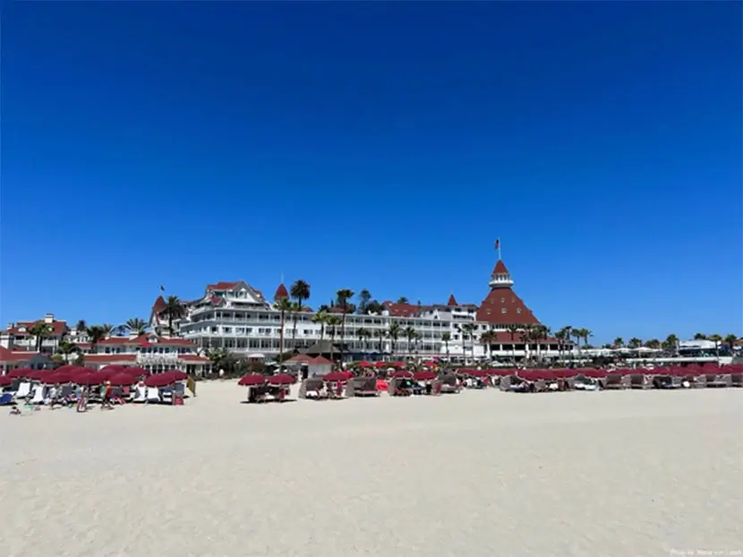 Sun, Surf and the Best of the Bay
